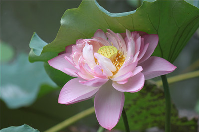 病房中的老人泪,好烫