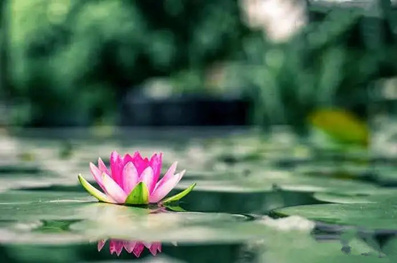 见面就称“菩萨”貌似恭敬谦卑,实则罪过无穷!