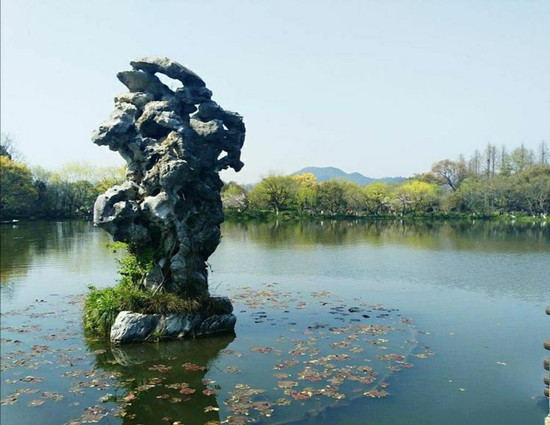 放生功德大,如何放生才正确?