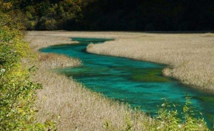 恶梦后的忏悔与修行