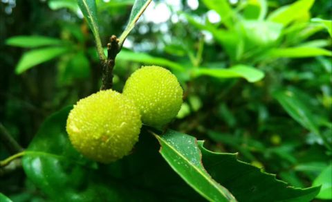 身在红尘中,人在世上练,修行人也需“拘小节了?