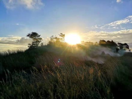 身在红尘中,人在世上练,修行人也需“拘小节了?