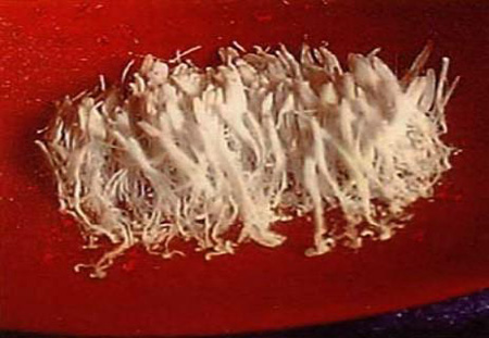 没见过世面,就别自以为是