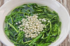 春季的野菜——马兰头