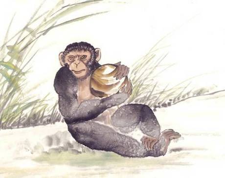 前世嬉笑比丘像猿猴自己转世为猿猴,少开玩笑为好