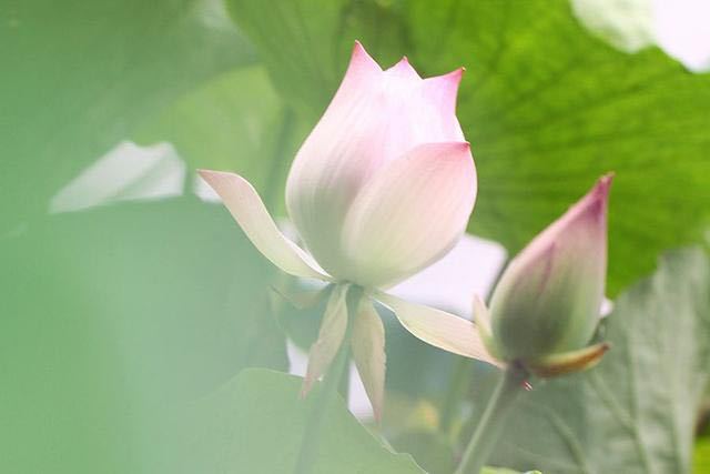 因为有了佛法,尽管生死别离却满怀幸福