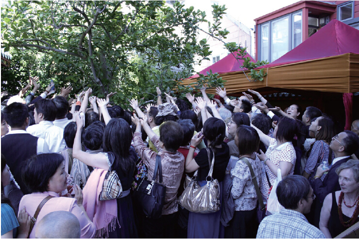 《揭开真相》(二十) 一书入寺木棉惊 神奇难测功绝顶