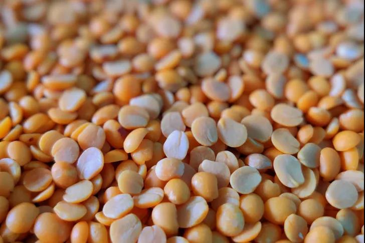 豆子这样烹制,竟是长寿配方!补肾、消肿还能防血栓,好吃!