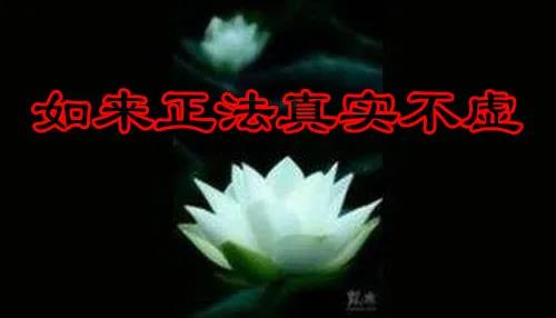 我终于见到 「菩提道损减增益法」 殊胜无上