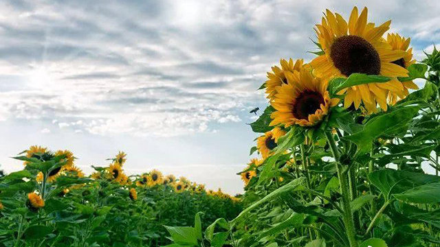 一个感人肺腑的真实的故事——绝症患者起死回生的经过