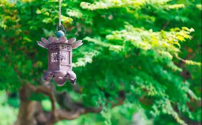 佛弟子扪心问自己:这一生我到底想要什么?