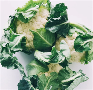 菜花竟然有这么多种做法!看起来就很好吃