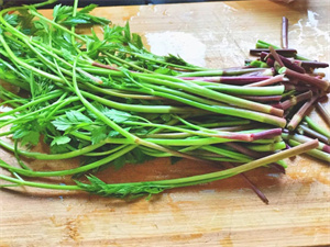 自古流传下来的“长寿菜”!春天不要错过