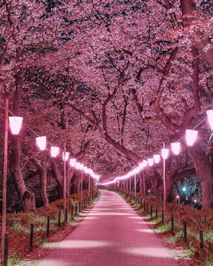 终于明白学佛不只是索取而是要付出方可受用