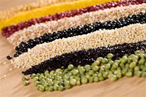 怎样吃素更健康