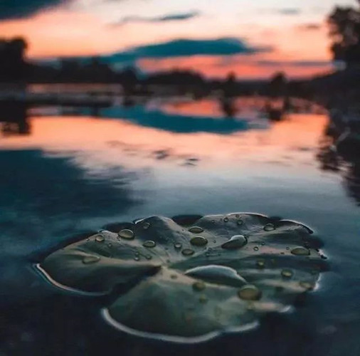 要想得受用,请將佛陀說法的義理運用在生活中