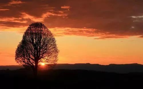 要想得受用,请將佛陀說法的義理運用在生活中