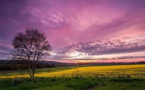 要想得受用,请將佛陀說法的義理運用在生活中