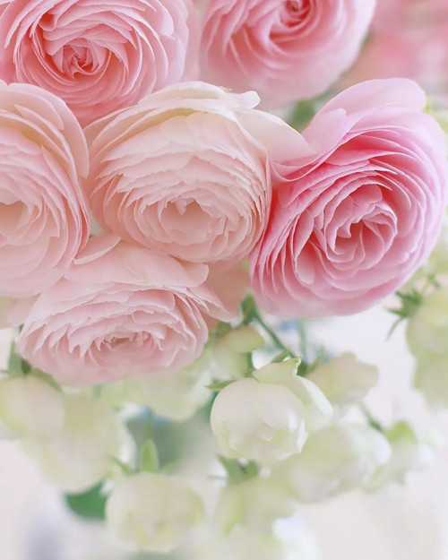 日常中我是如何穿钉耙杵拐杖