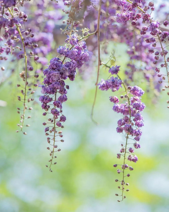 善言竟改变他的一生