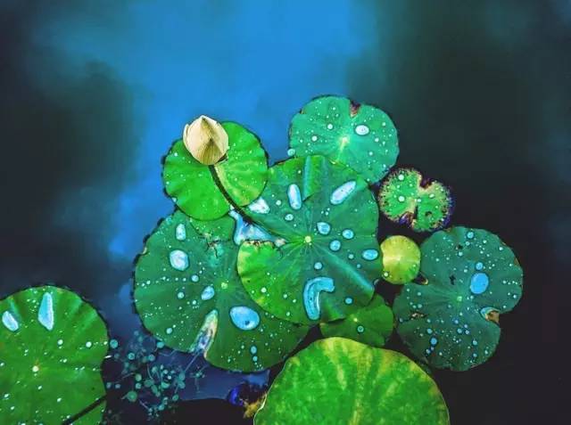 这样的“口福”是祸不是福,你知道原因么?