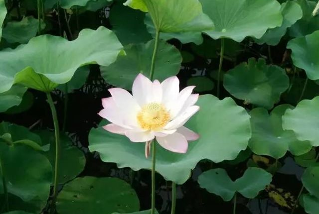 交通事故给我们这样的思考,不可忽视