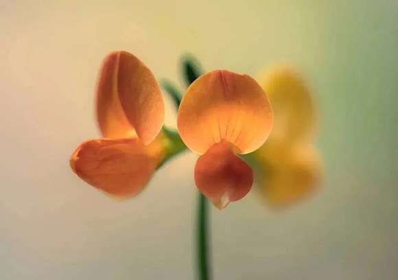 学习《什么叫修行》让我受益匪浅!