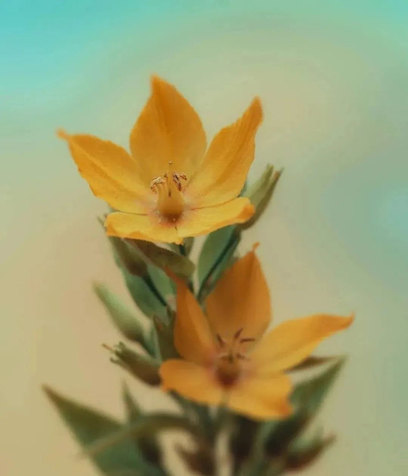 学习《什么叫修行》让我受益匪浅!