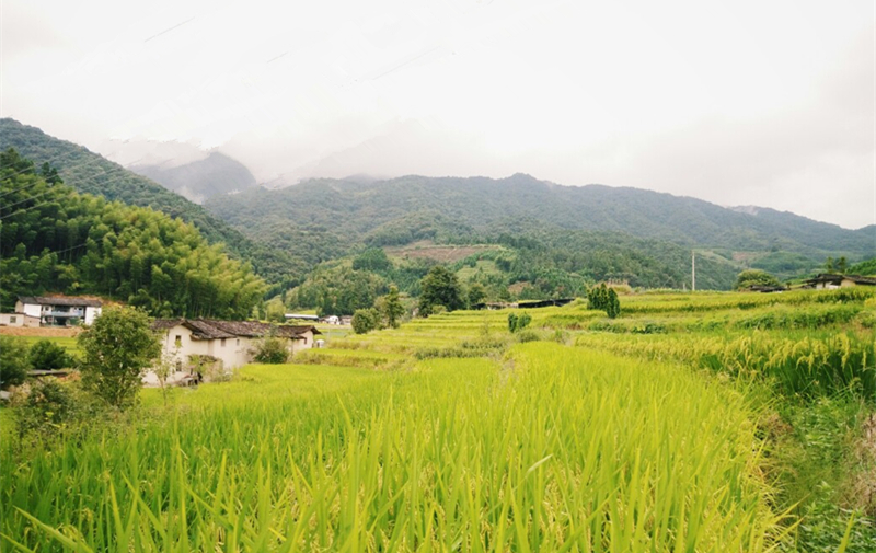 她为爱疯狂30年,却得不到丈夫疼爱,兜兜转转一场空