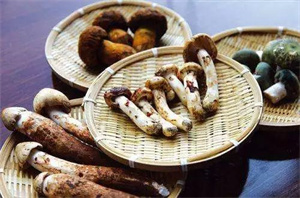 做菜加竹荪,补气又润肺,给免疫力加餐!