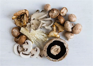 做菜加竹荪,补气又润肺,给免疫力加餐!