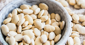 素食者如何避免气虚和体寒,教你怎么药善食疗方法!