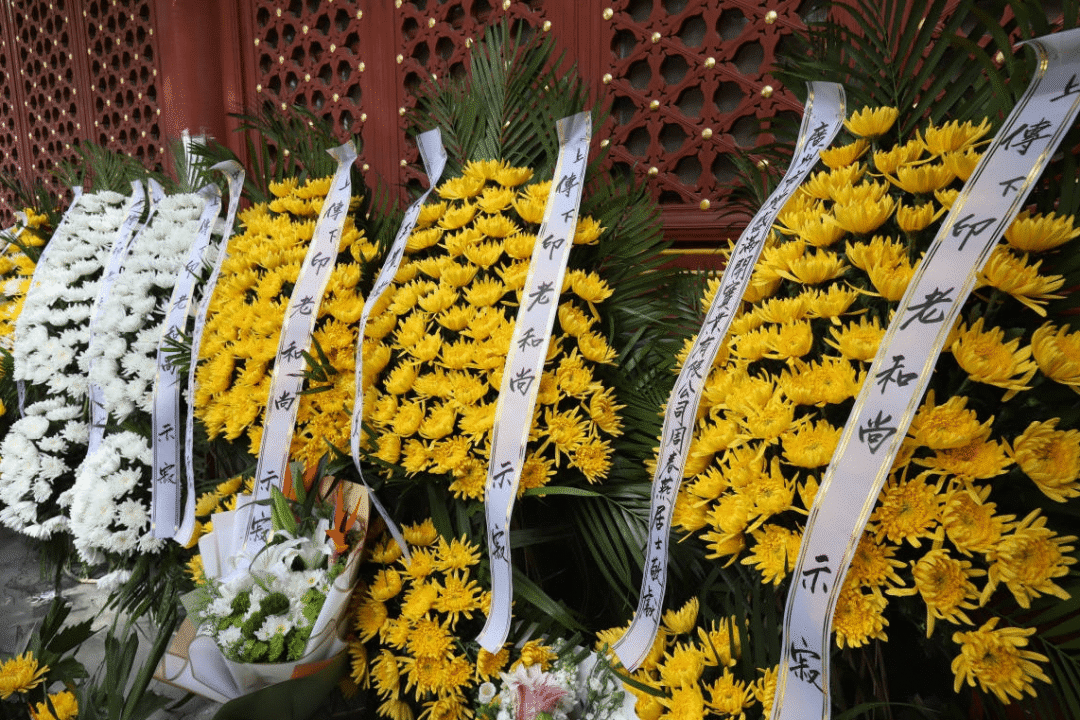 六道众生:(五)人类是怎么一回事儿?