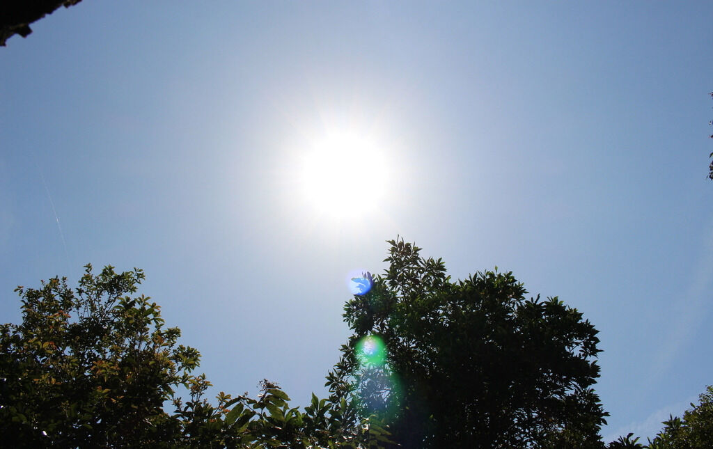 高考后的那个夏天,我差点错过大学录取通知书