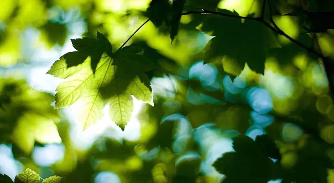高考后的那个夏天,我差点错过大学录取通知书