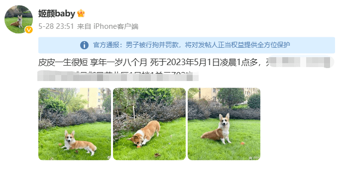 丈夫“杀狗儆妻”,妻子提出离婚是小题大做吗?