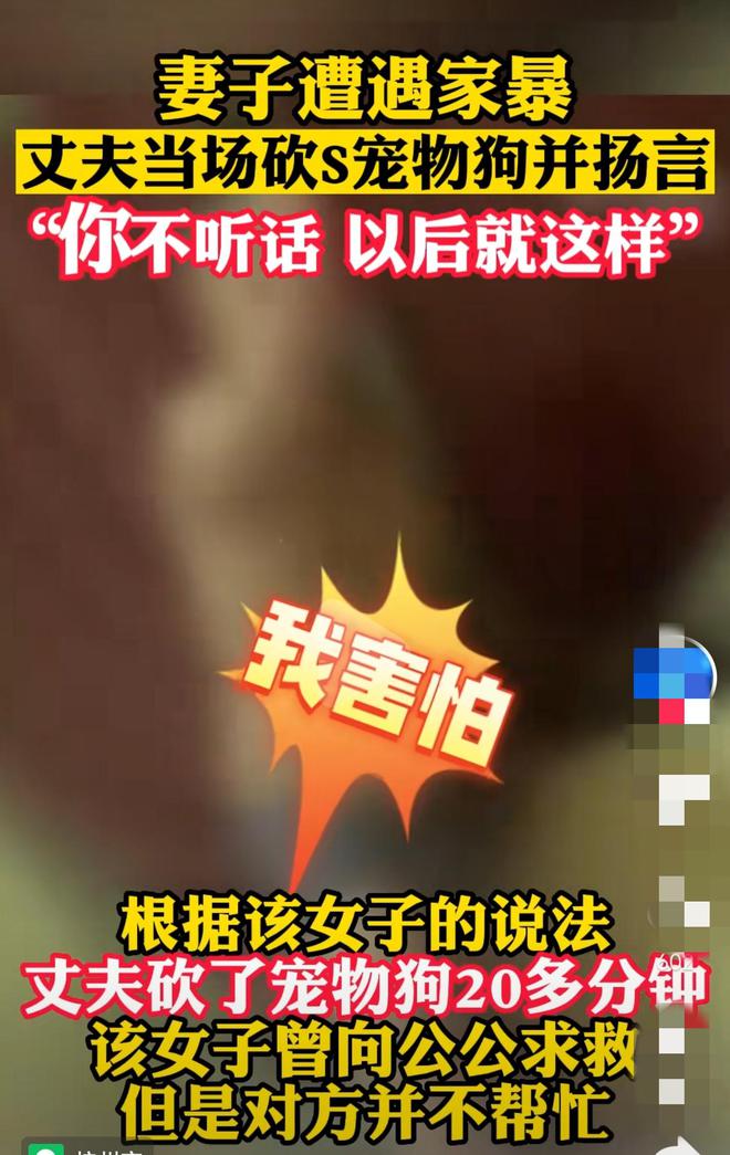 丈夫“杀狗儆妻”,妻子提出离婚是小题大做吗?