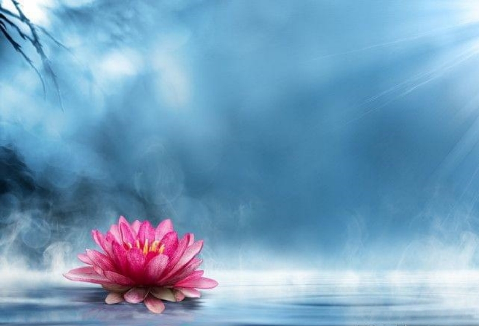 这个“疯子”竟是得道高人?佛门不为人知的秘辛公案