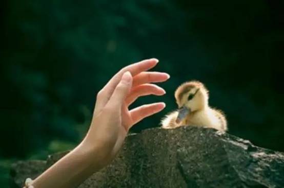 我的抗抑郁经历:请相信,这世上终有光明照破黑暗