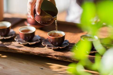 “世外桃源”寻茶记:深山有高人,3杯茶回甘至今