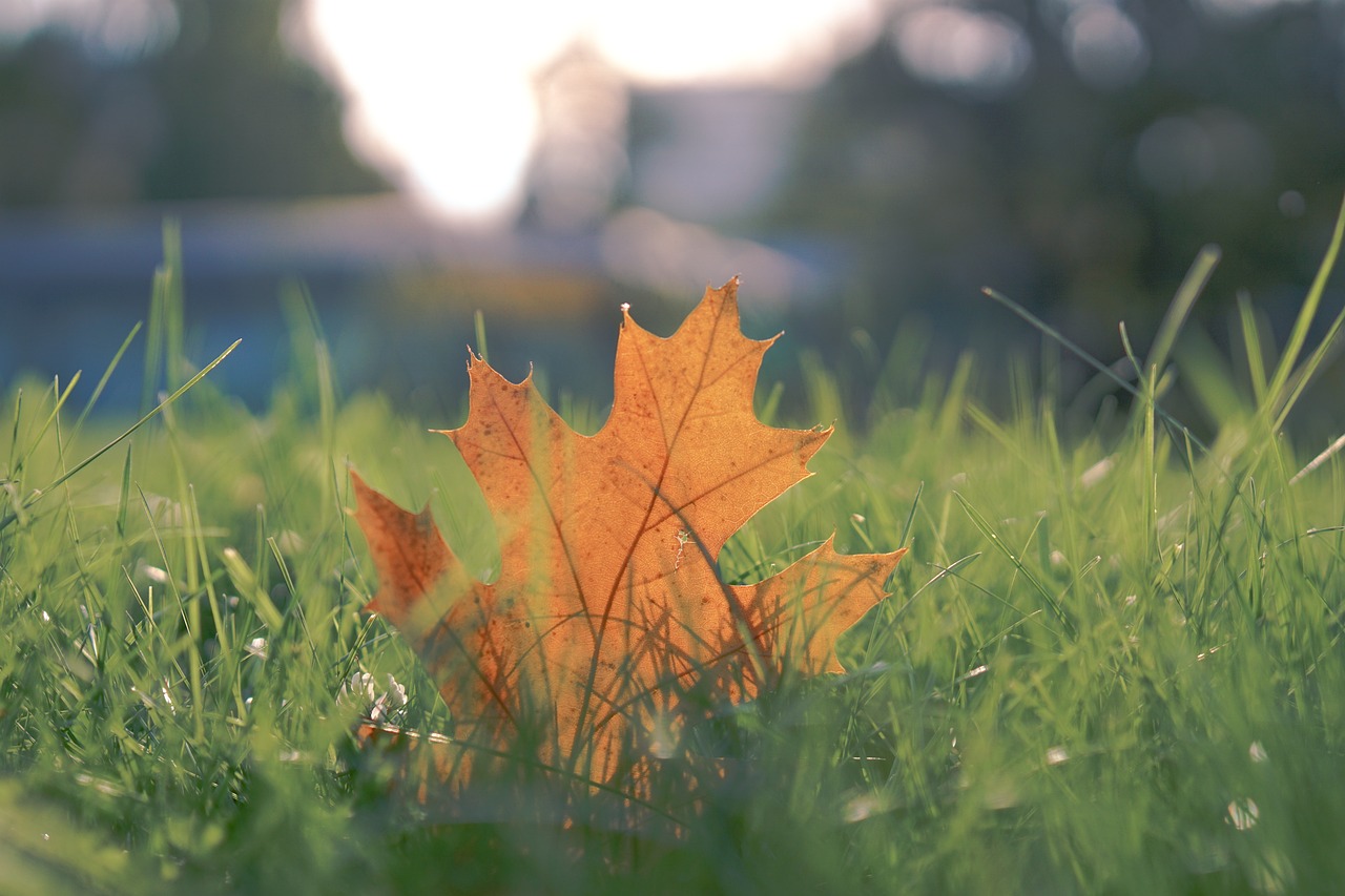 等到满头白发,孩子们都长大,你还是当年的你吗?