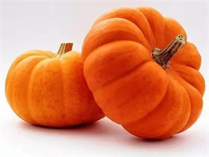 20种补血的素食小能手。