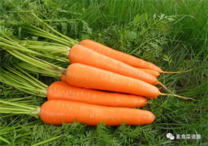 20种补血的素食小能手。