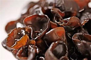 20种补血的素食小能手。