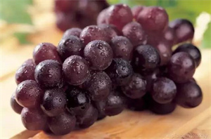 20种补血的素食小能手。