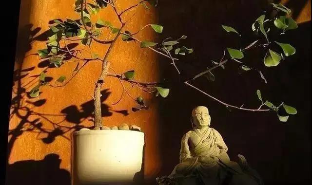 「佛门观察」致著名活佛法师们,你们认识真正的佛法吗?
