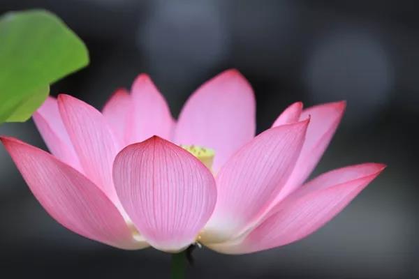 遇海难念观世音菩萨圣号死里逃生