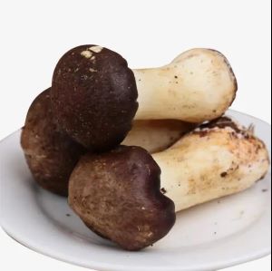 美味鲜嫩的豆腐做法——姬松茸煎豆腐