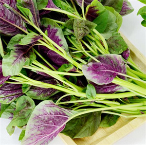 必吃的时令“长寿菜”,补钙又补血